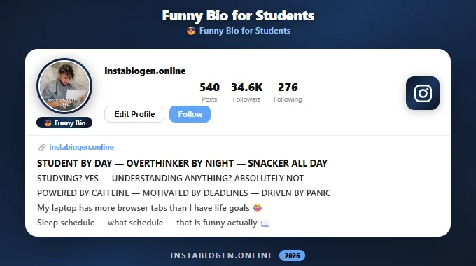 Funny Instagram Bios for Students